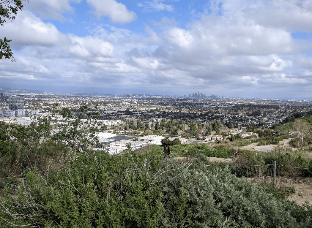 Cityscape to Campfire Stroll: Landscapes & Legacy 3