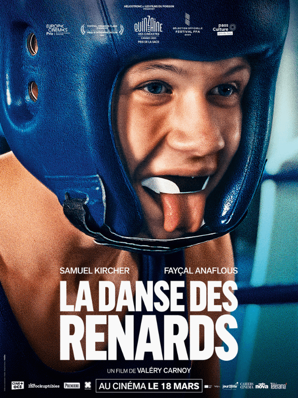 La danse des renards 1