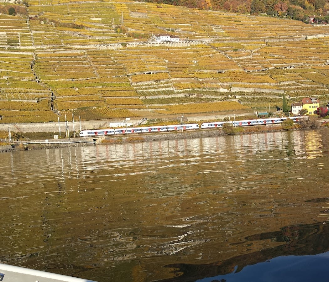 Domaine Butticaz Dézaley 3