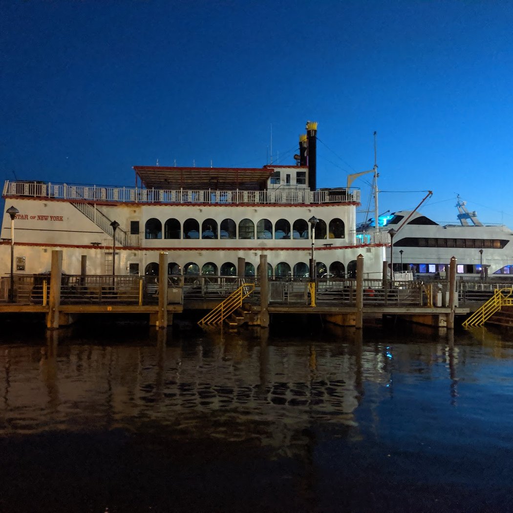 Whale Watching & Dolphin Adventure Cruises 2