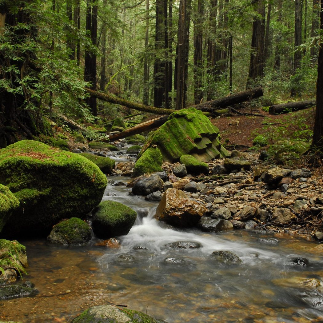 Archer Taylor Preserve Visitor Orientation 1