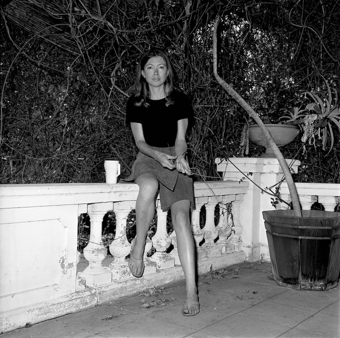 Joan Didion Exhibit 1