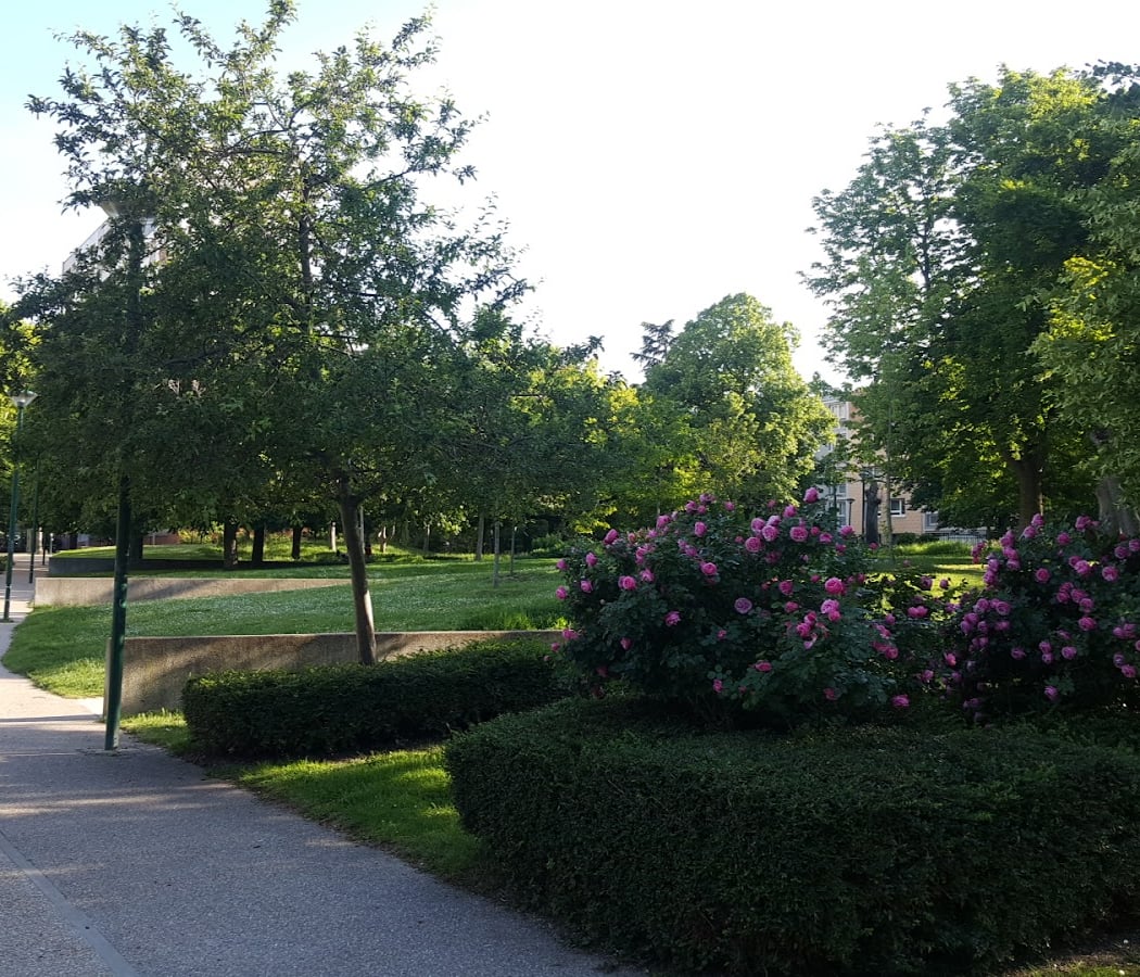 Parc d'Orgemont 1