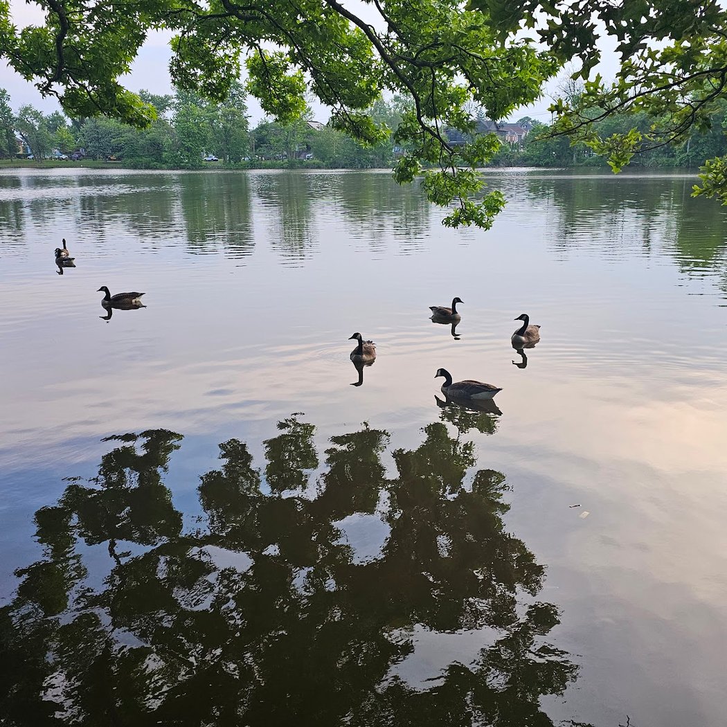 Wolfe's Pond Park 1