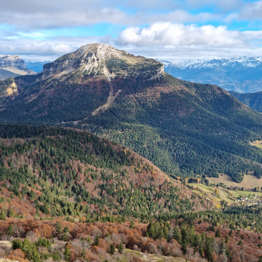 La Pinéa 1