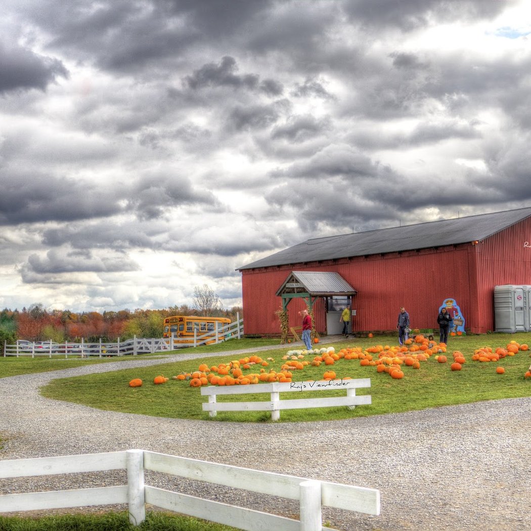 Ellms Family Farm 3