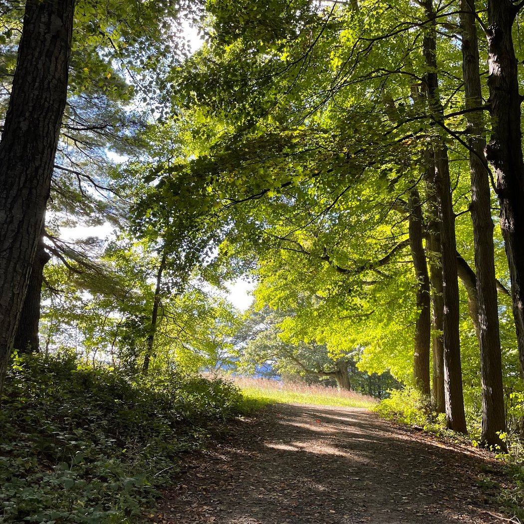 Rockwood Hall Sunset Hike 1