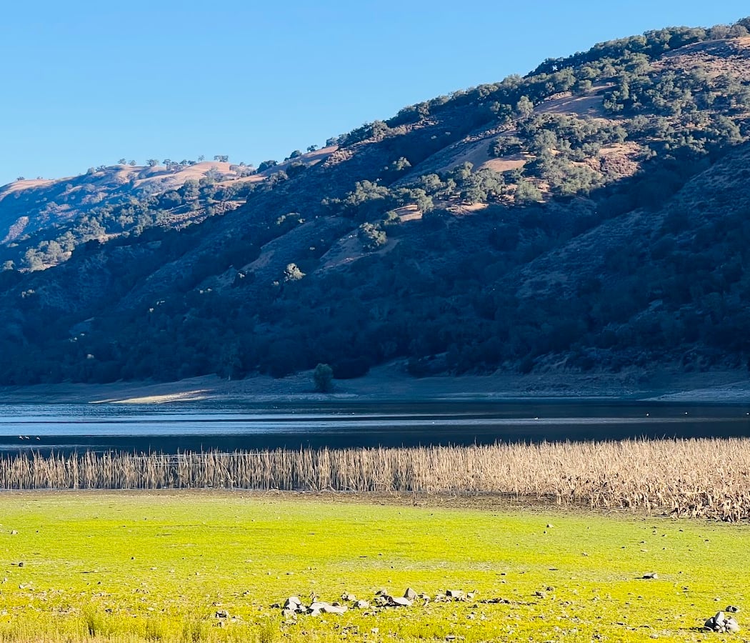 Coyote Lake-Harvey Bear Ranch County Park 3