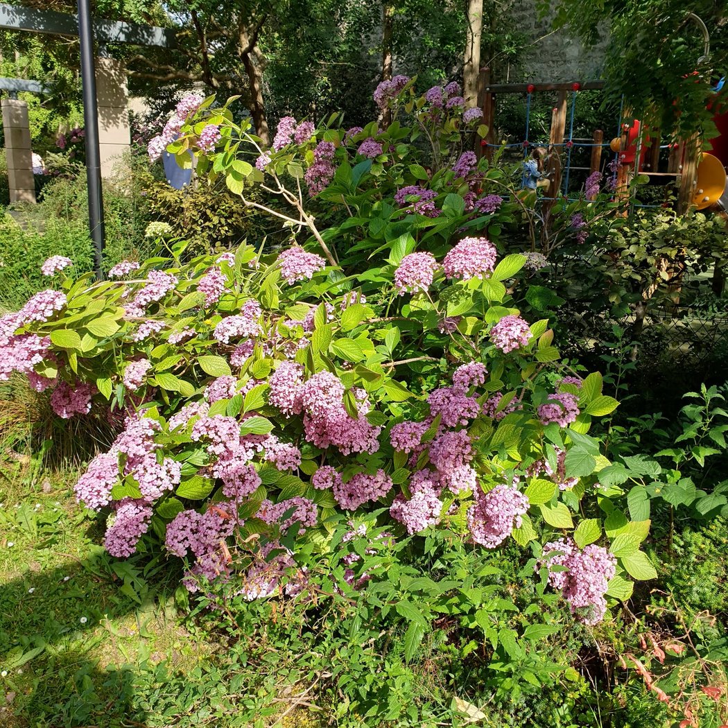 Tournelles Garden 2