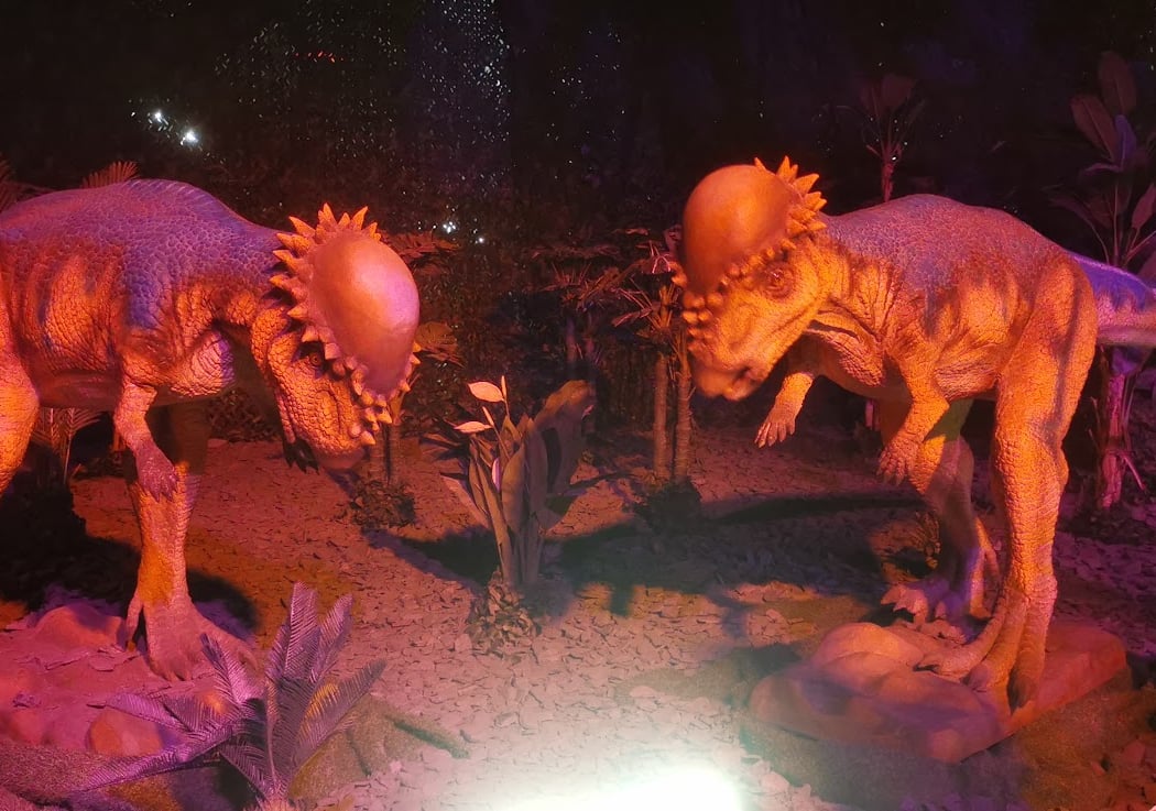 Exposition Dinos Alive 3