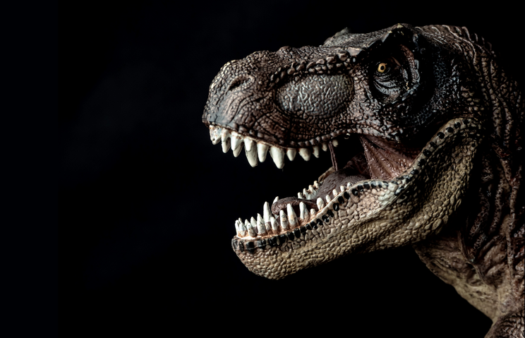 Království dinosaurů 2
