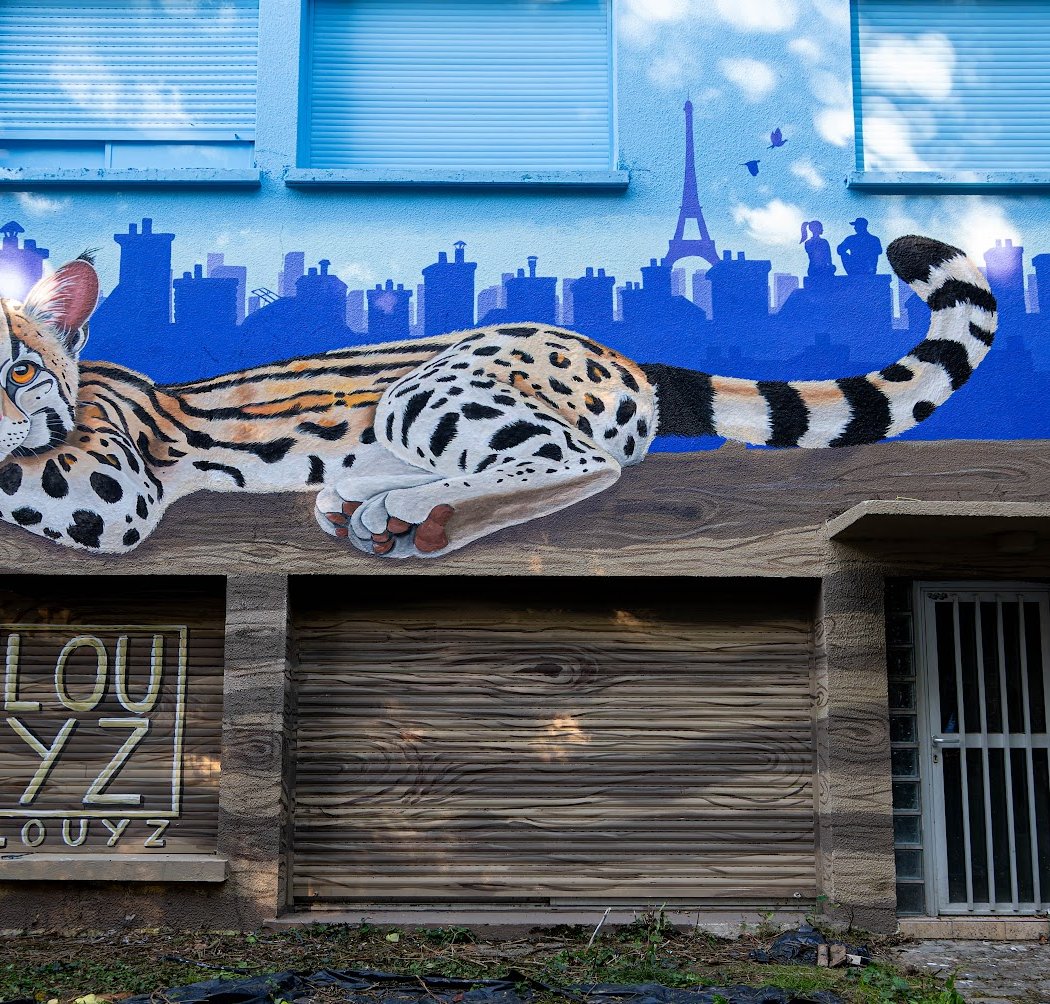 Festival Street Art 1