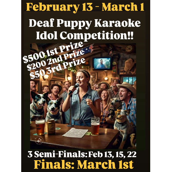 Karaoke Idol Competition 1