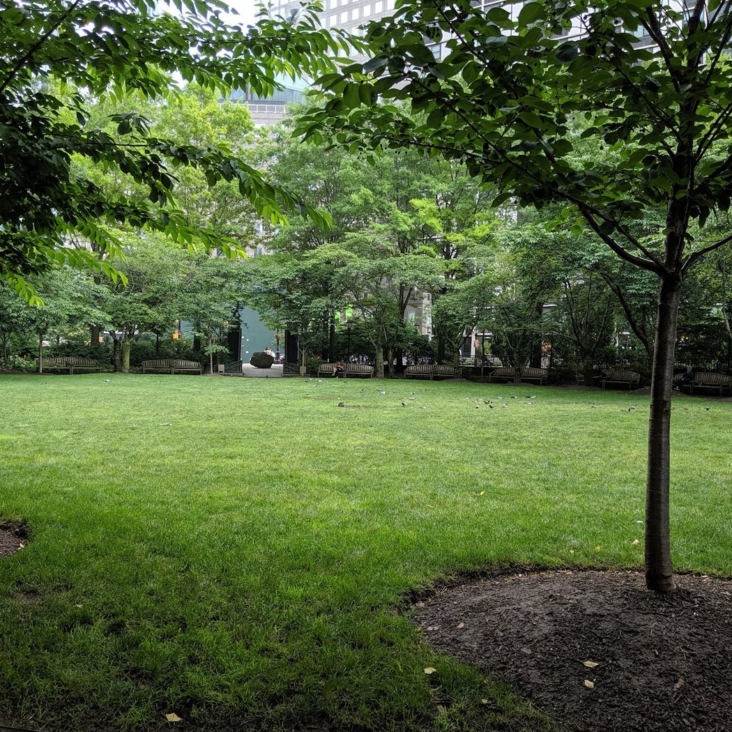 Morning Run/Walk at Pumphouse Park 3
