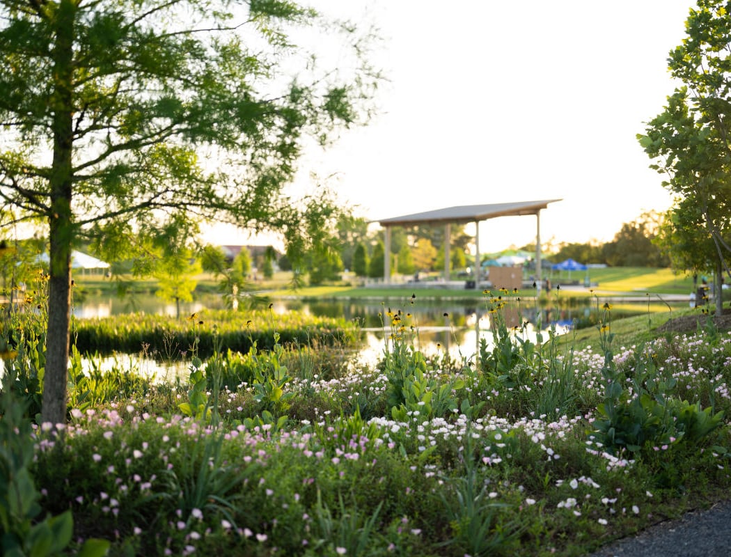 Moncus Park 3