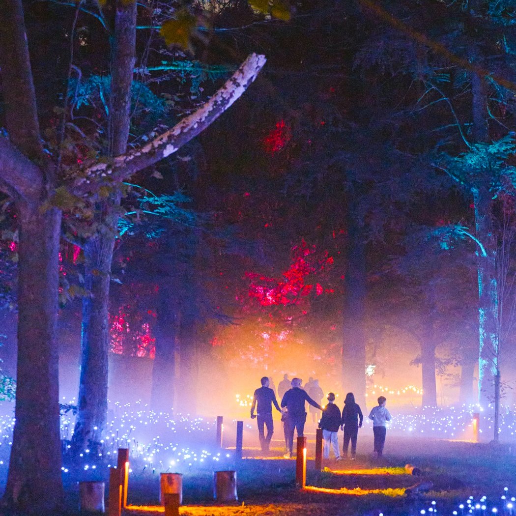 Light Cycles 1