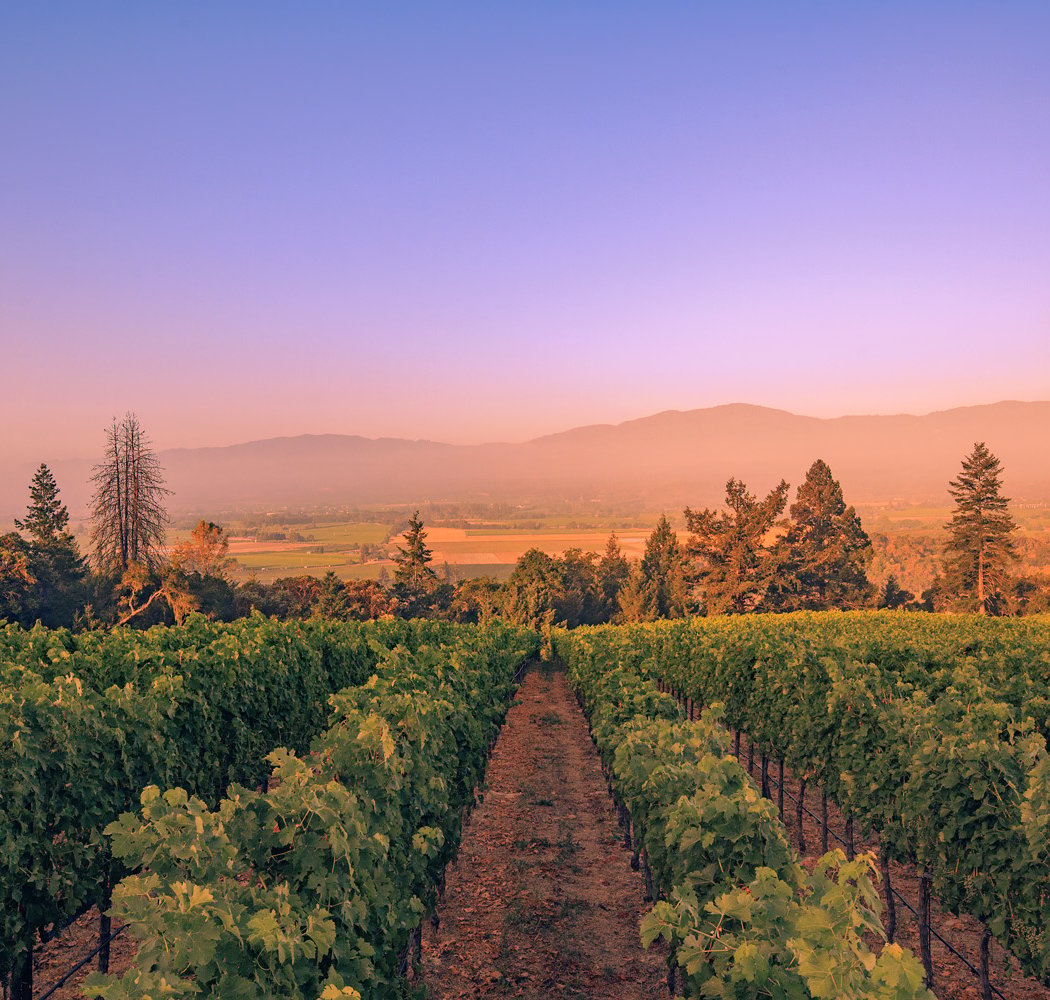 Summer Solstice Yoga, Bubbles & Brunch