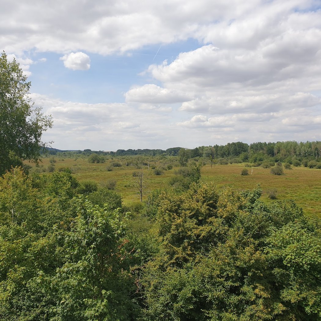 Marais de Sacy 2