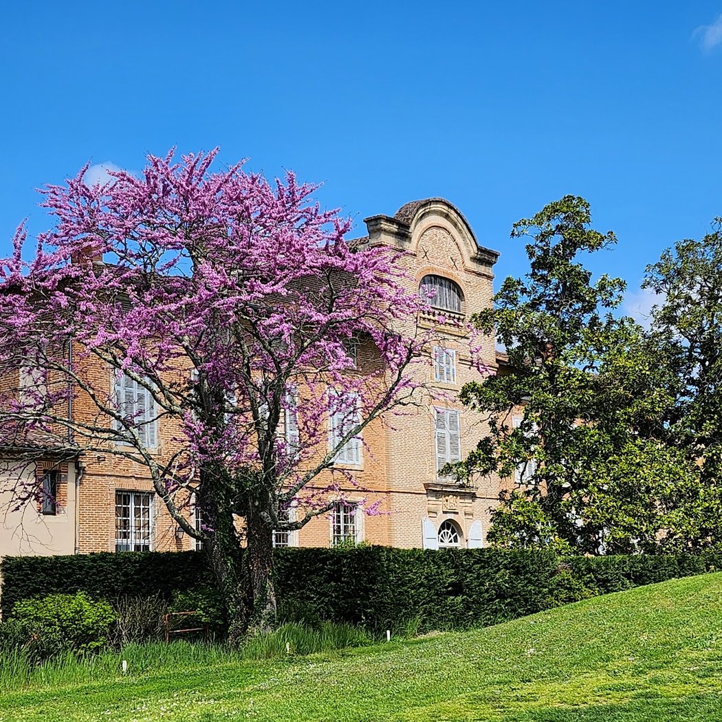 UGolf Albi - Château de Lasbordes ⛳️ 1