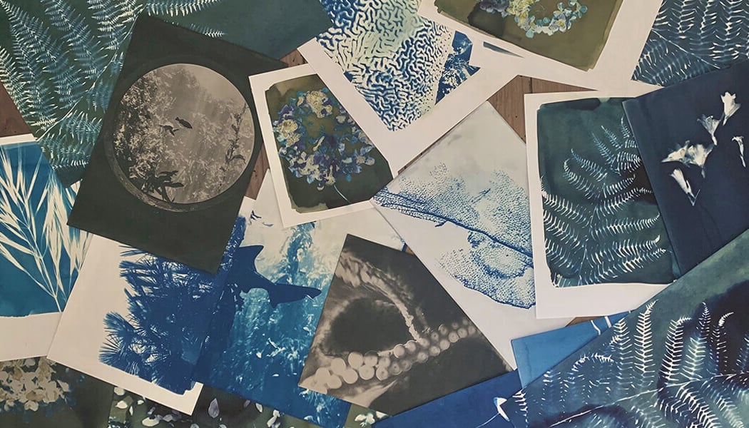 Atelier Cyanotype avec Julia 1