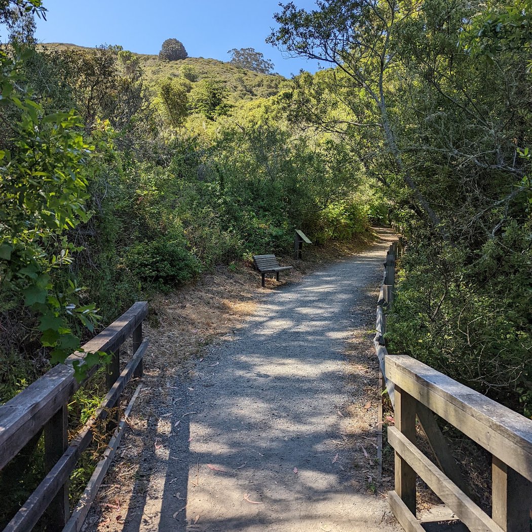 Pacifica Foothills 2026 3