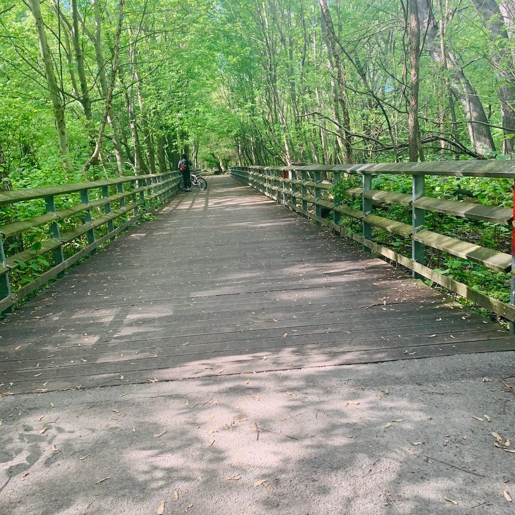 Bronx Park 3