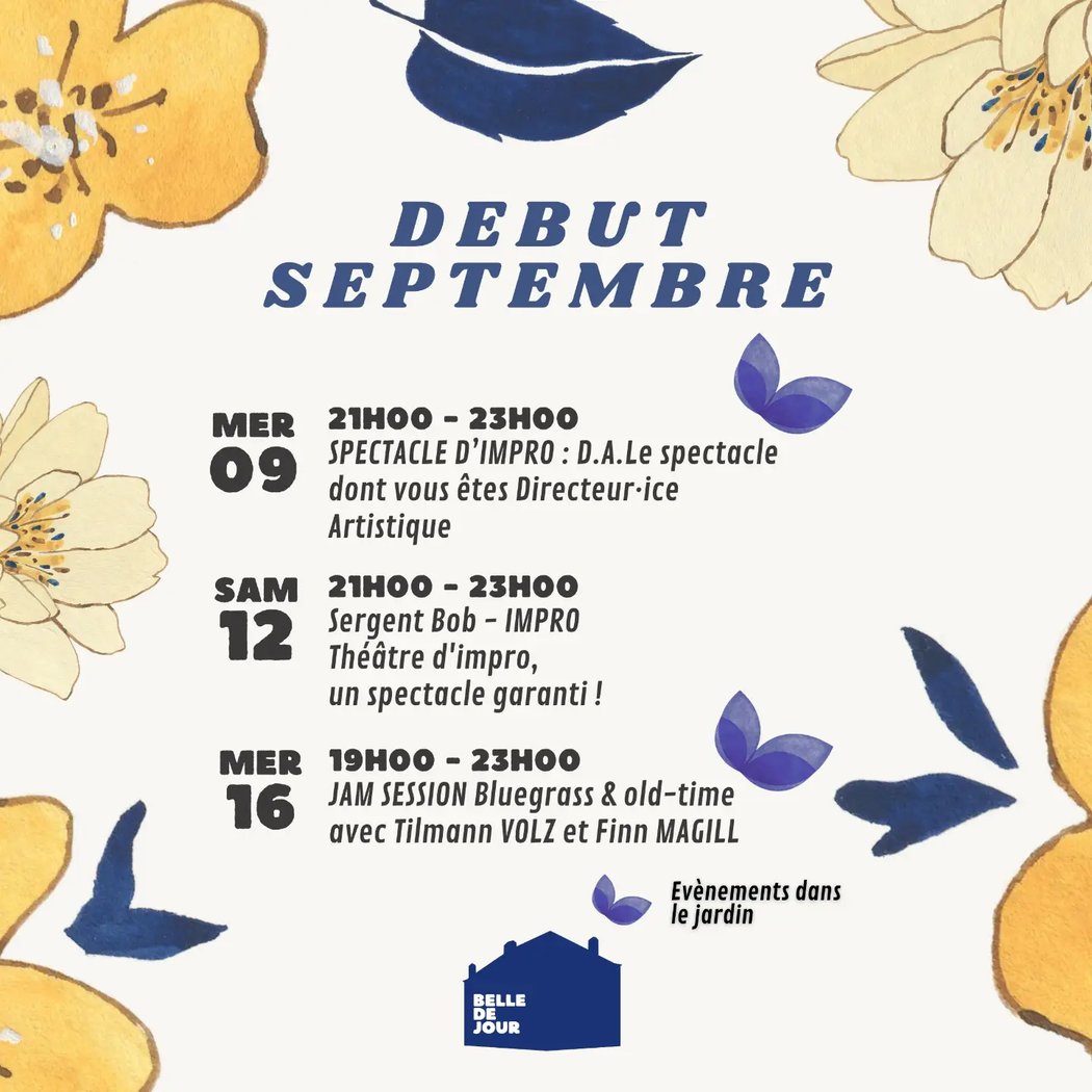 Spectacle d'impro : D.A. Le spectacle dont vous êtes Directeur-ice Artistique