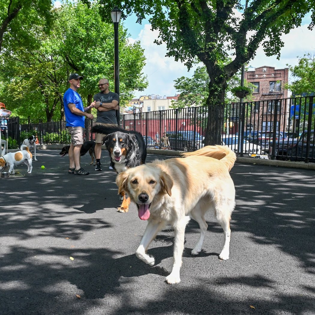 Noonan Park Dog Run 3