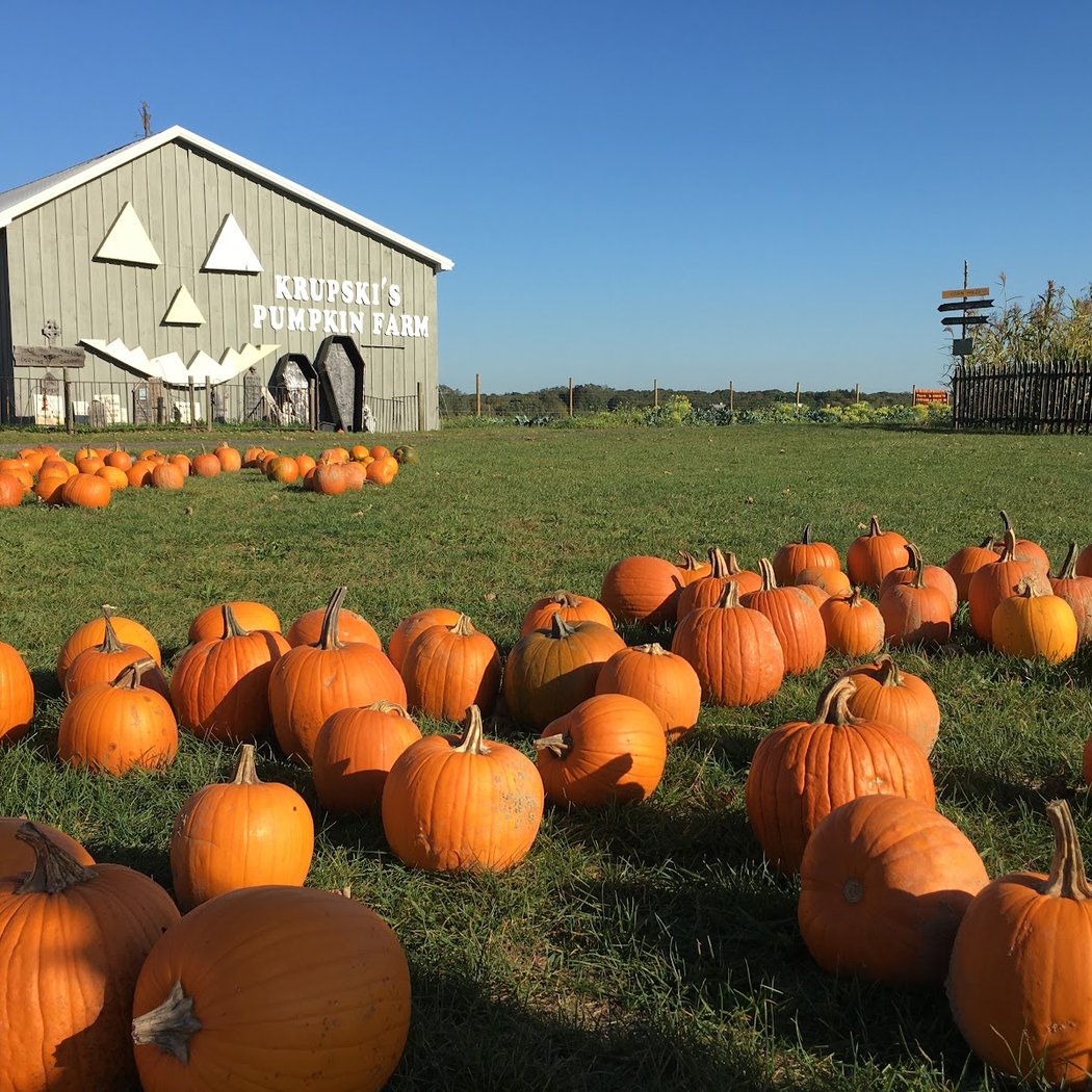 krupski farm 1
