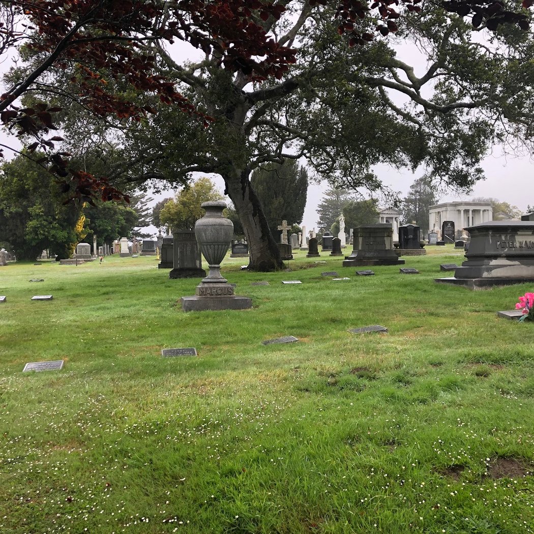 Holy Cross Catholic Cemetery 3