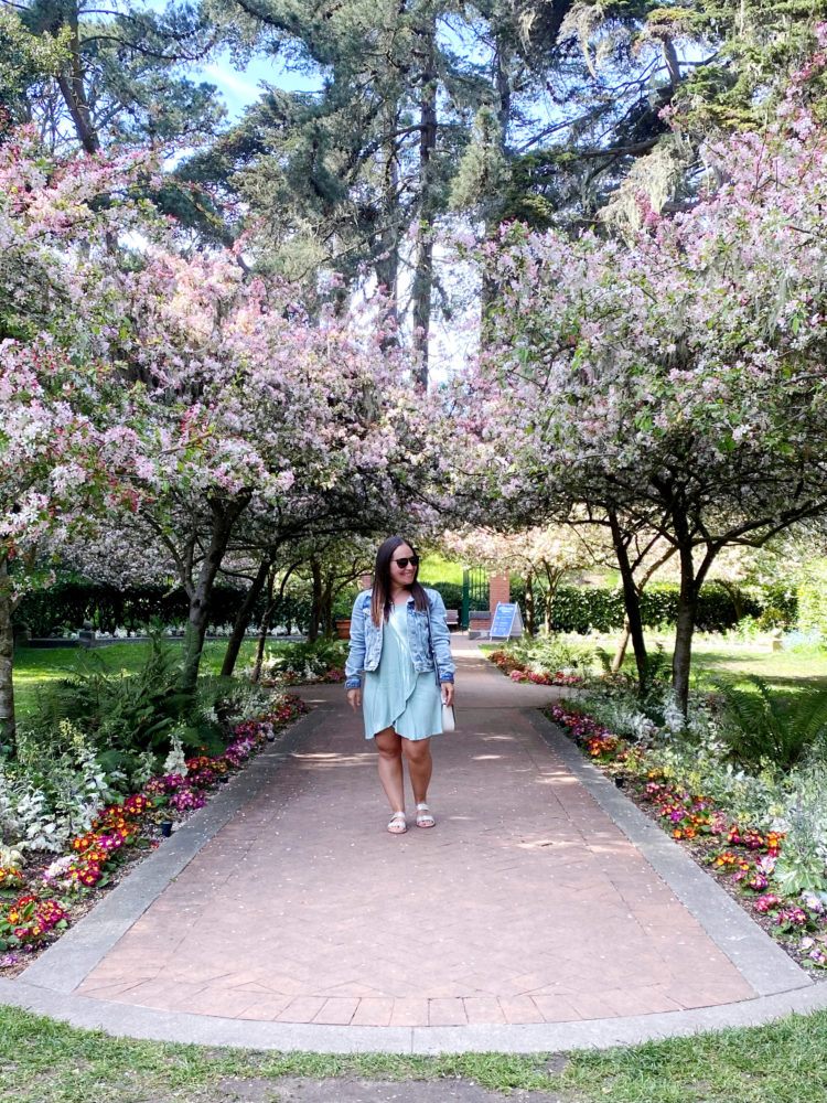 Shakespeare Garden 1