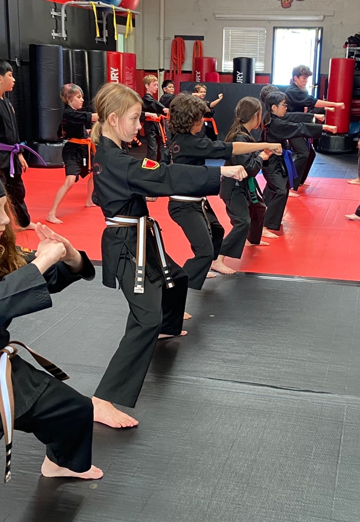 The Dojo 2