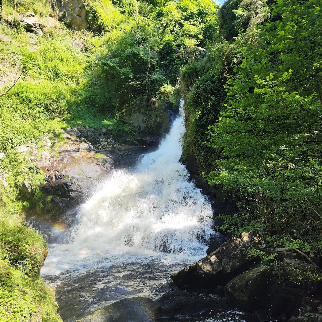 Balade botanique gourmande au Parc Vuillier – Cascades de Gimel (23 mai 2026) 1