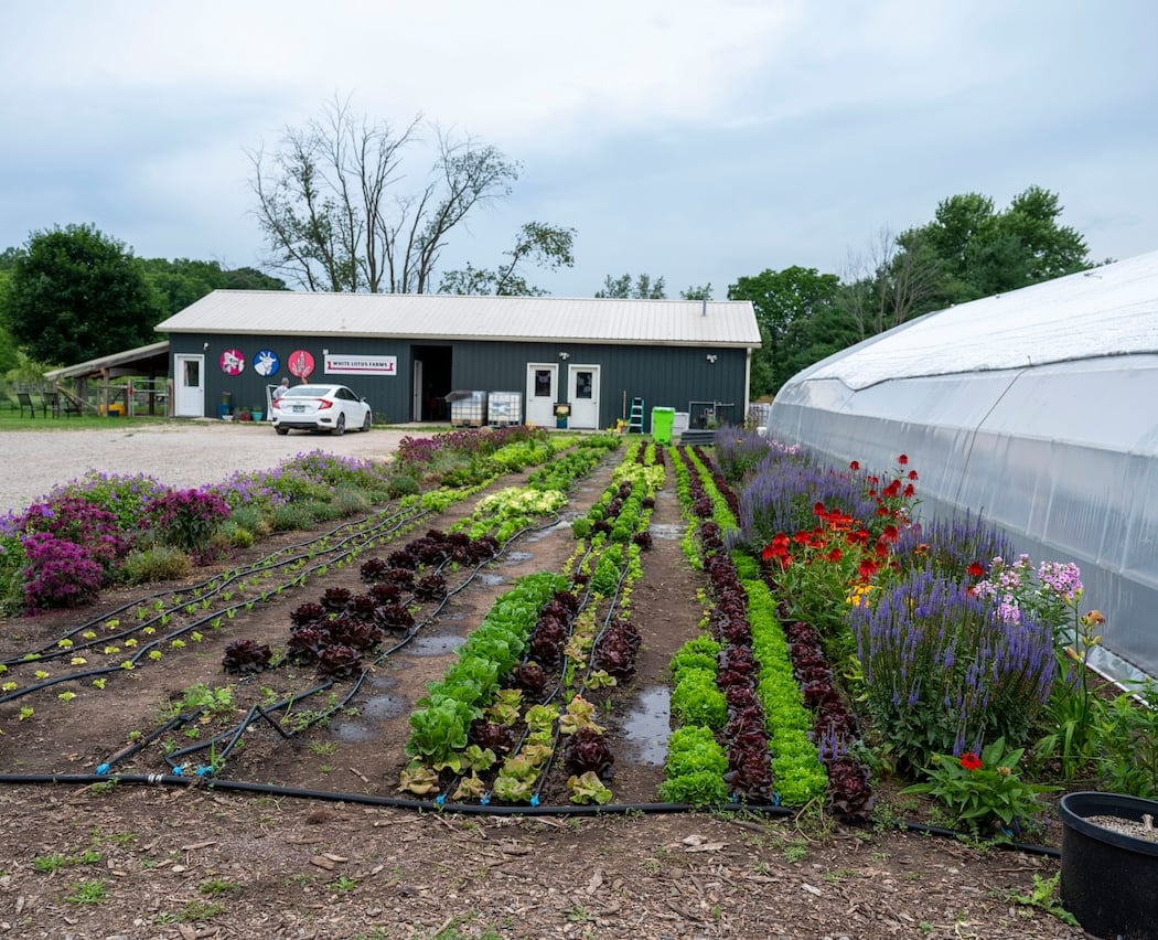 White Lotus Farms 2