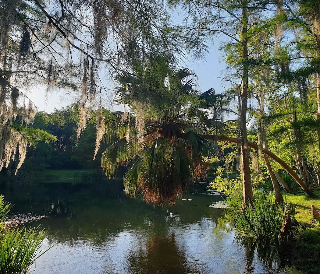 Mead Botanical Garden 1