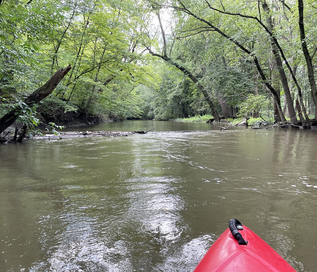RiverLab: Thursday Evening Paddle Club 2