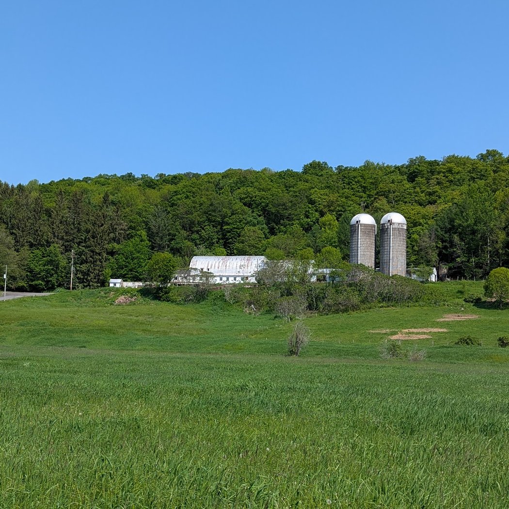 Catskill Scenic Trail 1