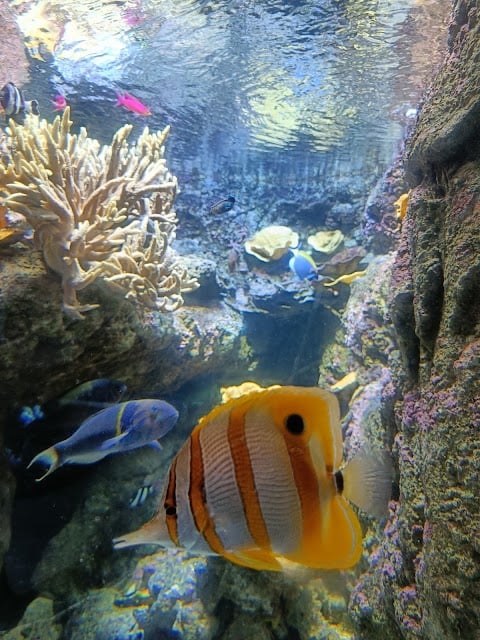 Nocturnal Visit at Aquarium de Paris 3