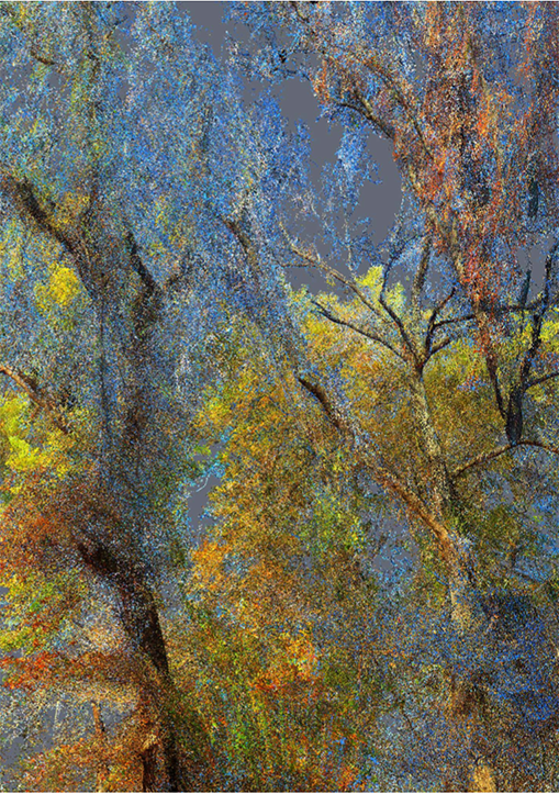 Pointillisme 1