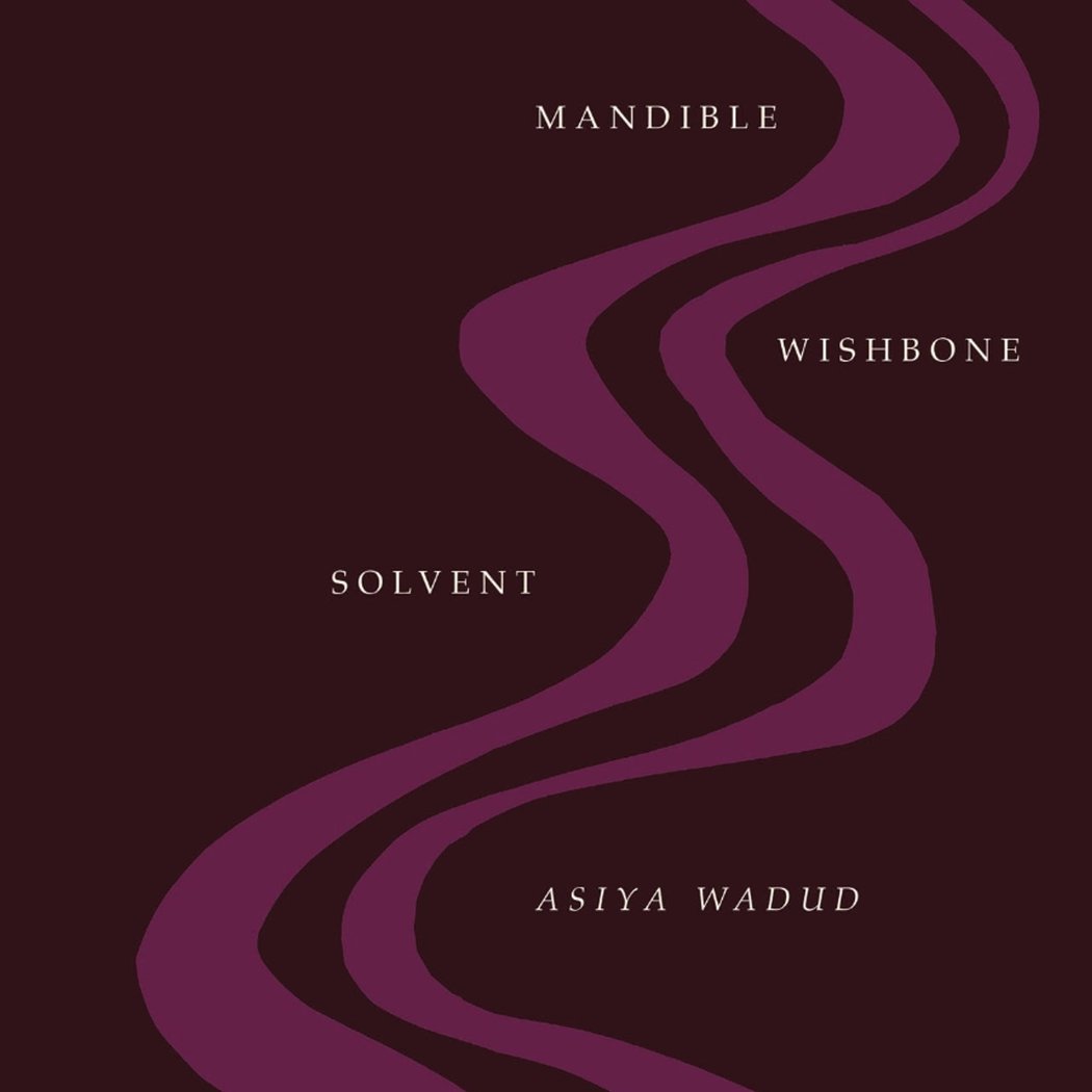 Mandible Wishbone Solvent Book Launch 1