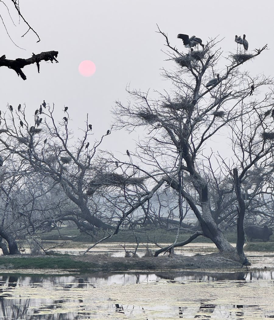 Sudhir Shivaram Photography 3
