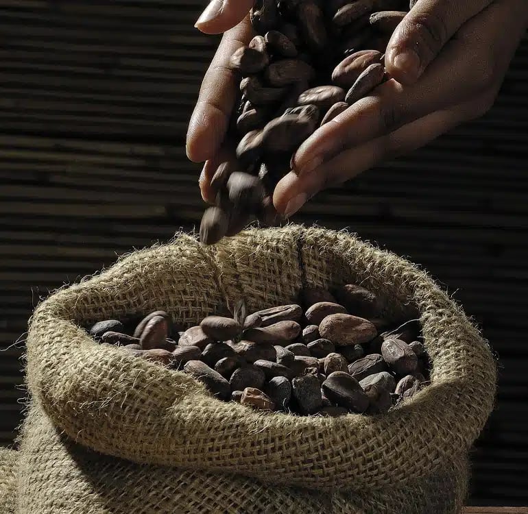 L'Atelier du Chocolat 2