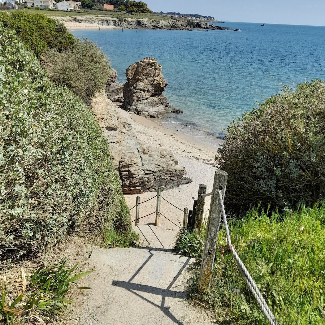 Cueillette des algues 3