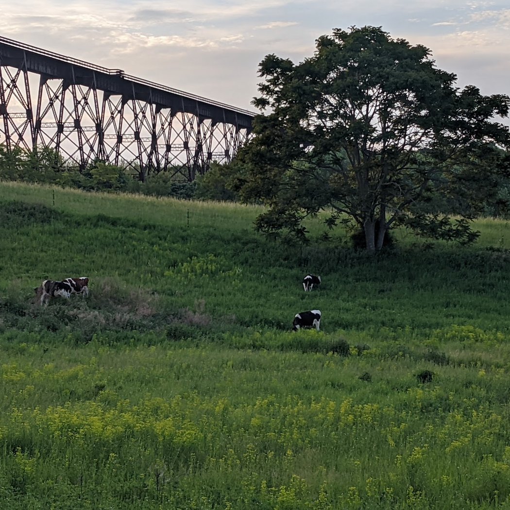 Gray Family Farm 3