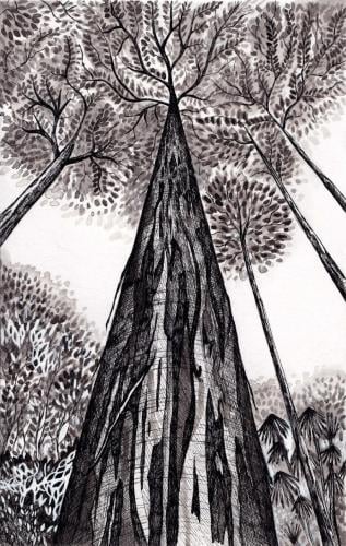 Exposition Arbres-Mondes 1