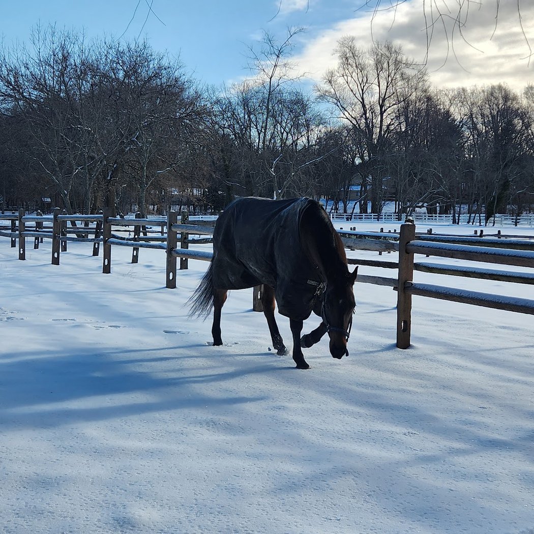 Nassau Equestrian Center 2