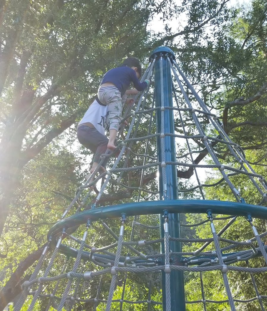 Scott Highland Park 3