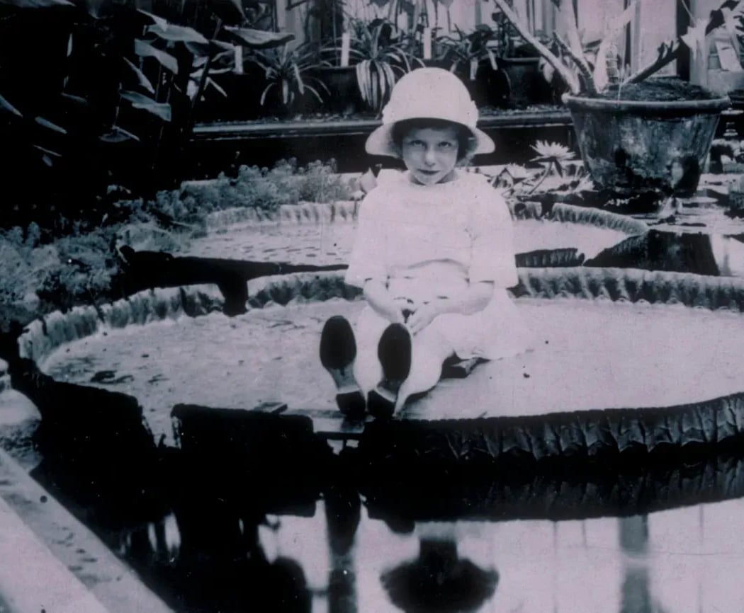 Waterlily House 2