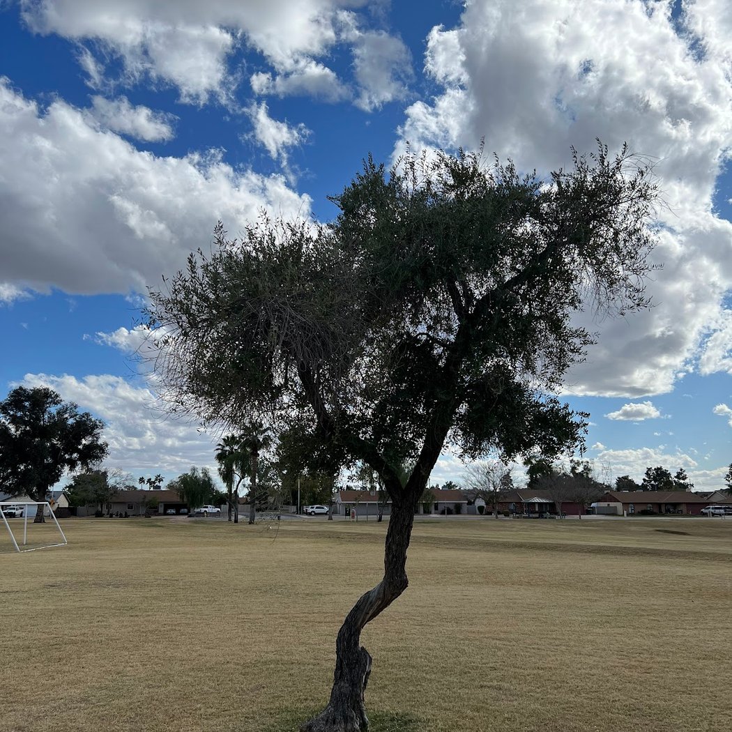 Mountain View Park 3