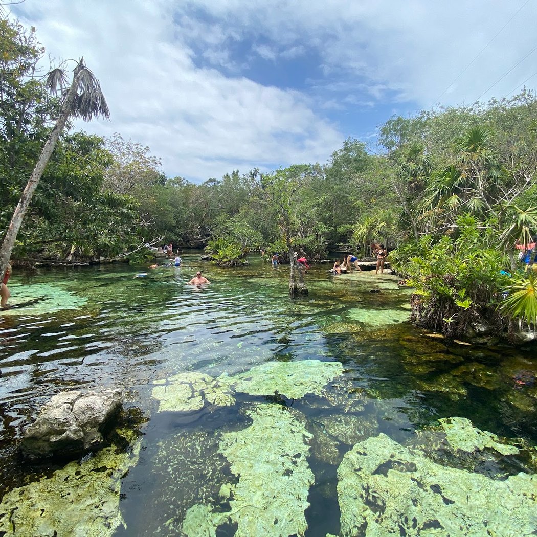 Cenote Azul 3